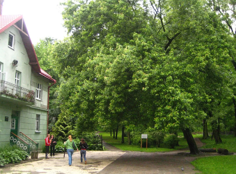National Forestry University Botanical Garden, Ukraine
